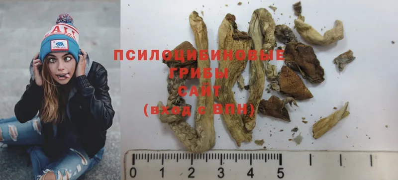 Псилоцибиновые грибы Magic Shrooms  Котовск 